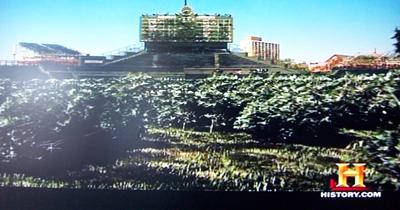 [Wrigley+Field+Covered+in+Buckthron.png]