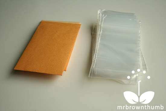 coin envelopes for seed saving