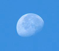 Midday Moon