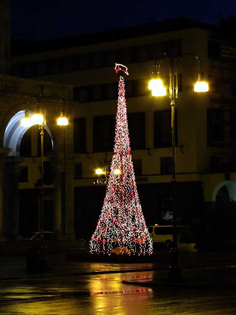 Christmas tree, piazza Grande, Livorno