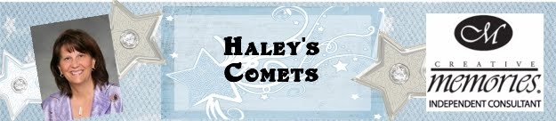 Haley's Comets