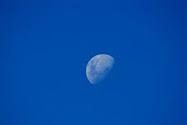 blue moon...