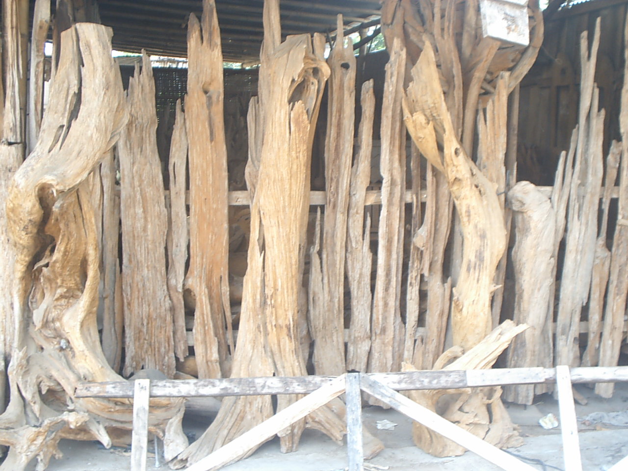 teak root furniture teak raw material need your idea