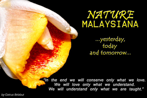 Nature Malaysiana