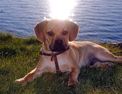 Cooper