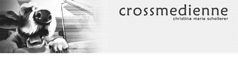 crossmedienne - portfolio von christina maria schollerer
