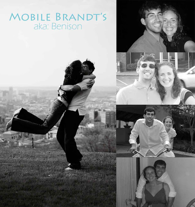 Mobile Brandt's