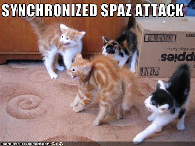 http://3.bp.blogspot.com/_AxJq8I_F8tY/SnmQim8RRRI/AAAAAAAAAEQ/LMF_NZS99SI/s400/funny-pictures-cats-have-a-spaz-attack.jpg