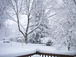 another view of the snow from Kari's backdoor