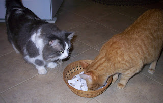 Annie & Jasper are checking the basket full of paper slips with names for the drawing