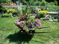 antique wheelbarrow full of flowers