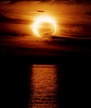 [20061026021854-soleclip.jpg]