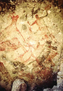 Navegantecalifornio Pinturas Rupestres De La Sierra San Francisco Baja California Sur Mexico