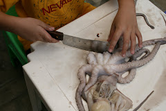 Clay cutting octopus