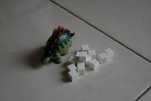 This Dino equals to these white wooden blocks