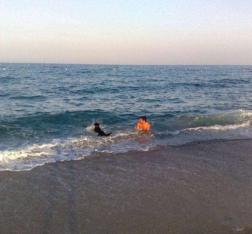 [Late+evening+swim+with+Lady.jpg]