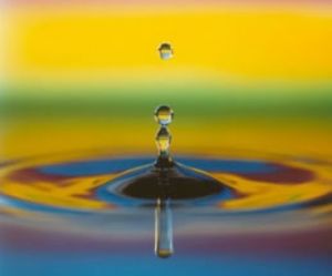 [{A2D1EB97-61E7-46E0-A426-3967D9F9D189}_su.jpg]