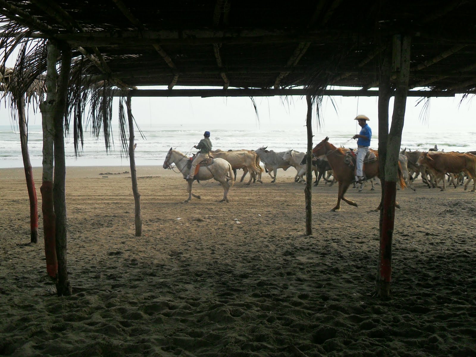 A quatre mains: Rancho Playa, veracruz, Mexico