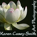 Logo button for Karen Casey Smith