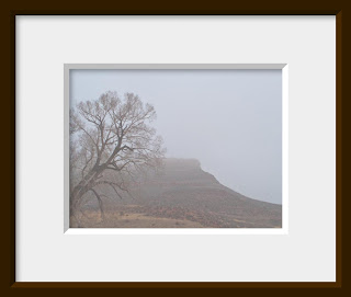 A framed photo of a heavy fog shrouds the red mesa and an leaning cottonwood tree creating an eerie atmosphere in the mists.