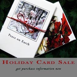 Holiday Card Sale Ad