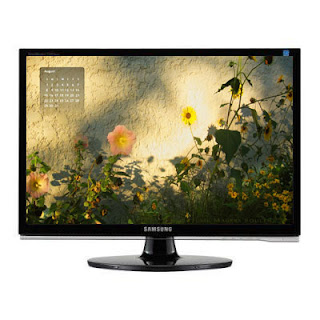 Computer monitor with August 2010 Wallpaper Calendar