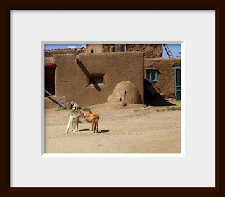 Two reservation dogs square off and discover they are friends with the touch of a nose.