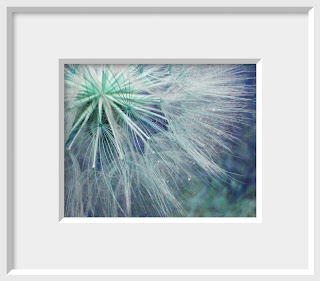 A common seedhead is transformed into sparkling fireworks in blue, green, aqua and lavender.