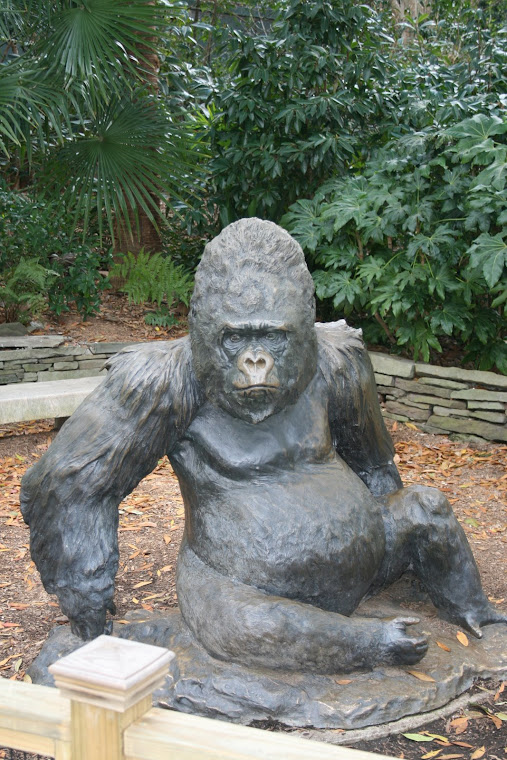 Atlanta Zoo 2008