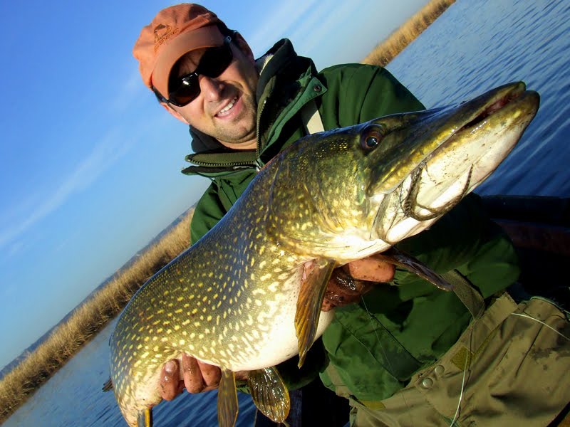 Readers - Pike fly-fishing articles: Readers fish porn