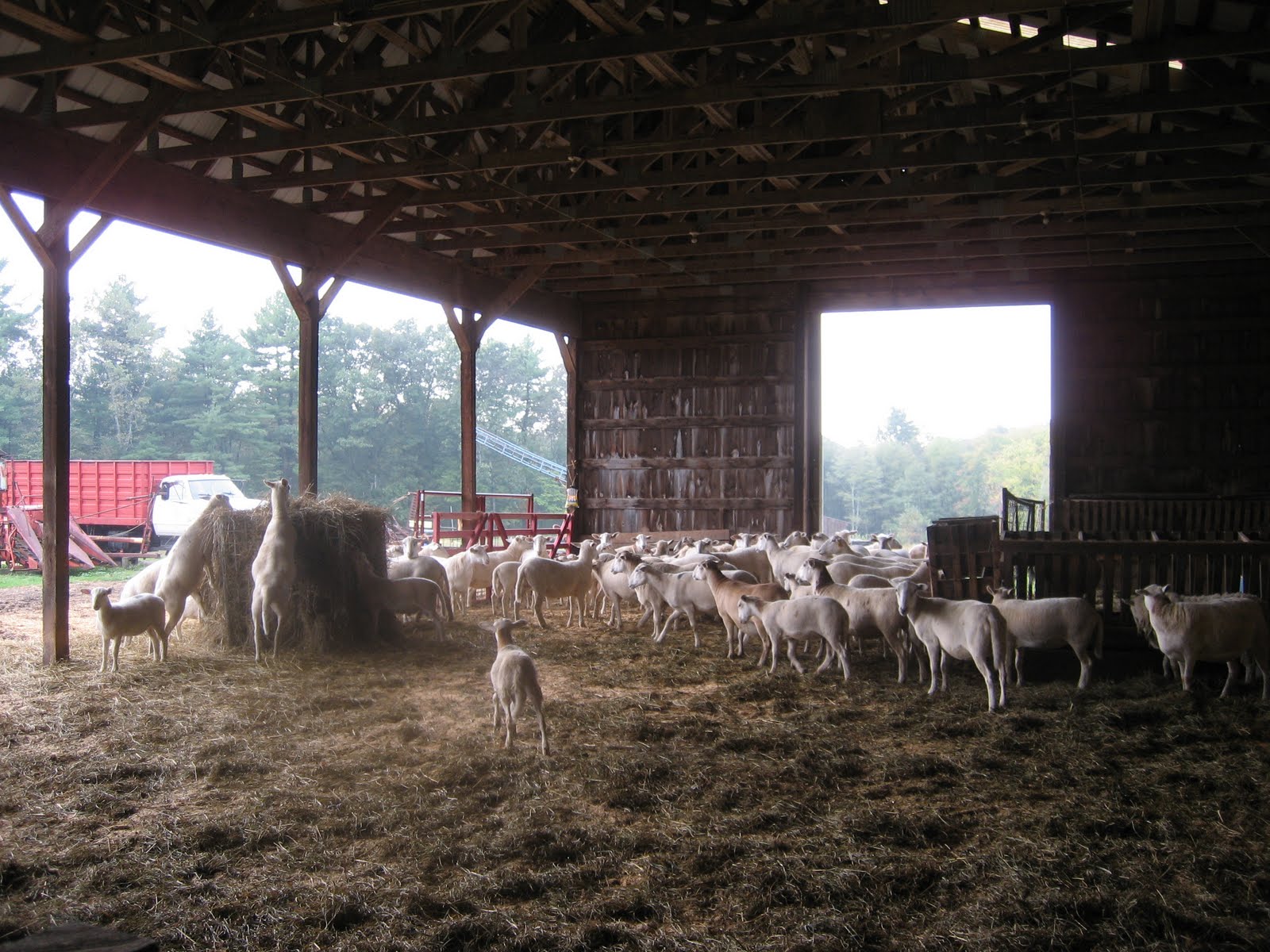 Clarke Farm, Epping NH