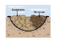 HUMUS (MATERIA ORGANICA): VIDEO DE FORMACION DEL HUMUS