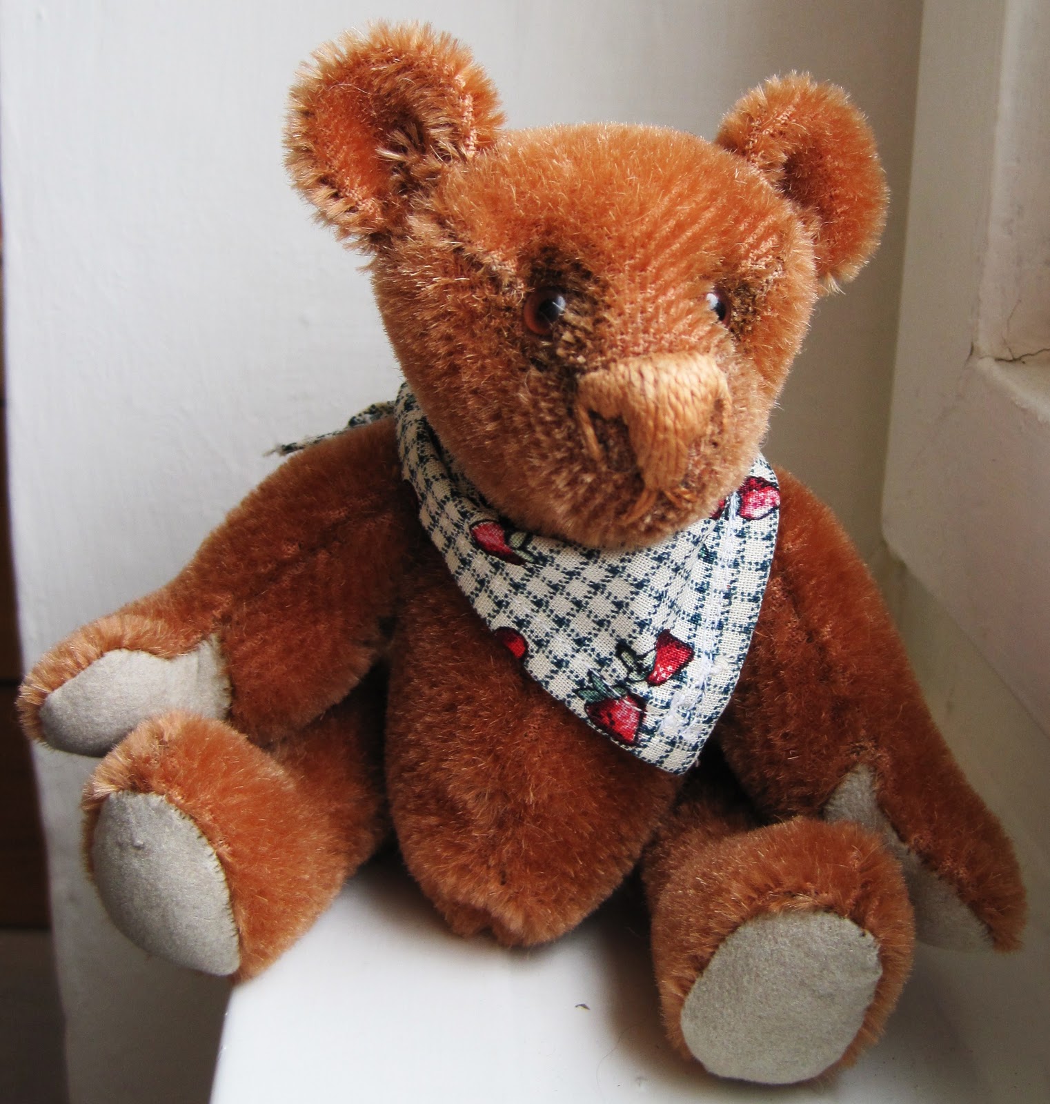 Tina's Fotos: Teddys