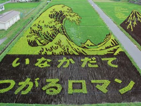 amazing art photos