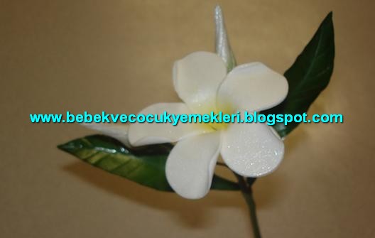 [sekerhamurucicek14.jpg]