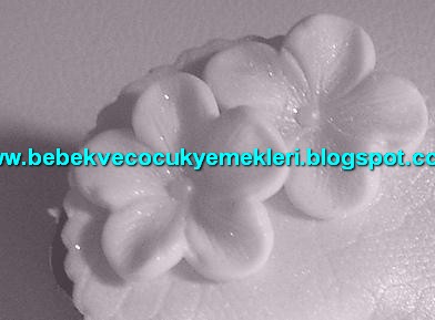 [sekerhamurucicek7.jpg]