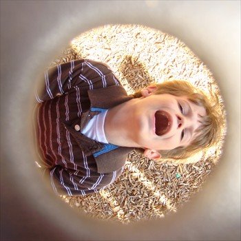 [ww5lookingdownonryan.jpg]