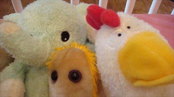 [binky3animals.jpg]
