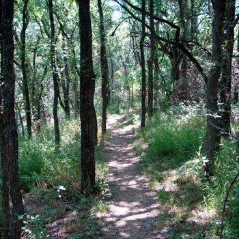 [burbmomlisdolatrail.jpg]