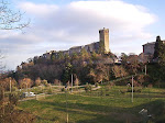 Paesaggio Marchigiano