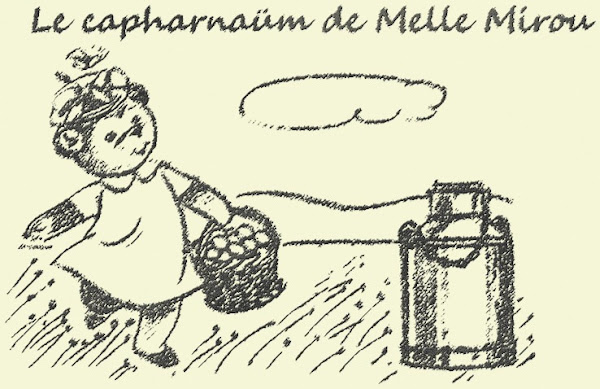 Le capharnaüm de Melle Mirou