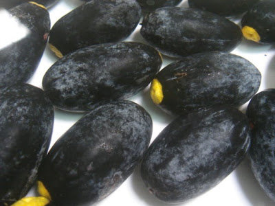Almira Alwani: BUAH DABAI (Sarawak Fruits)