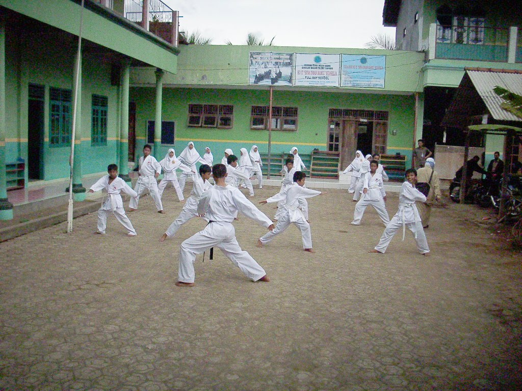 Сообщение на тему карате. Программа карате. Каратэ wkf кумитэ. Каратэ фудокан иркутск малова ия. Программа карате.