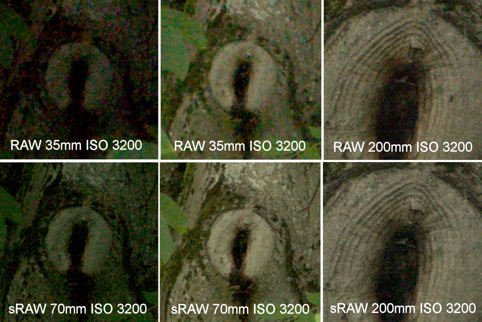 [sRAW-test-03.jpg]