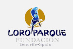 Fundacion Loro Parque