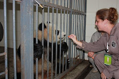 Me...feeding a panda in China