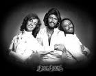 The Bee Gees - Night Fever