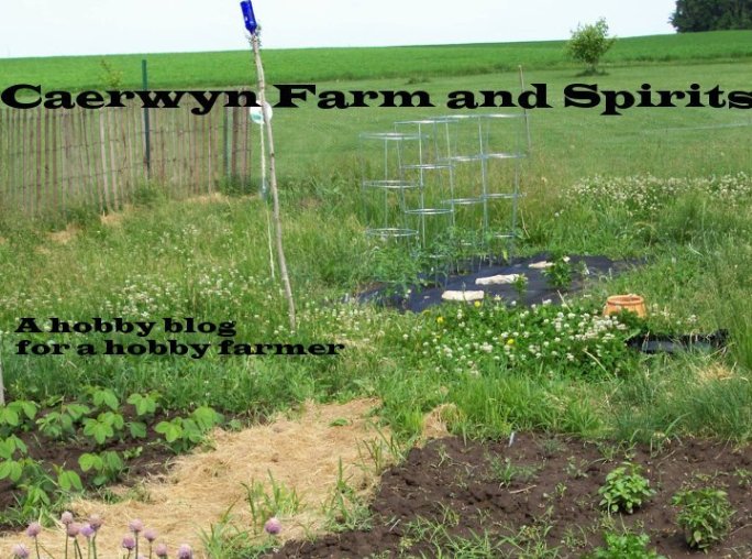 Caerwyn Farm and Spirits