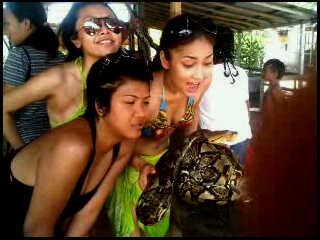 aReaL&Celebrity: Maaf, No Comment... Kata Pasha Panda...
