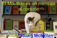 Stuart McMillan